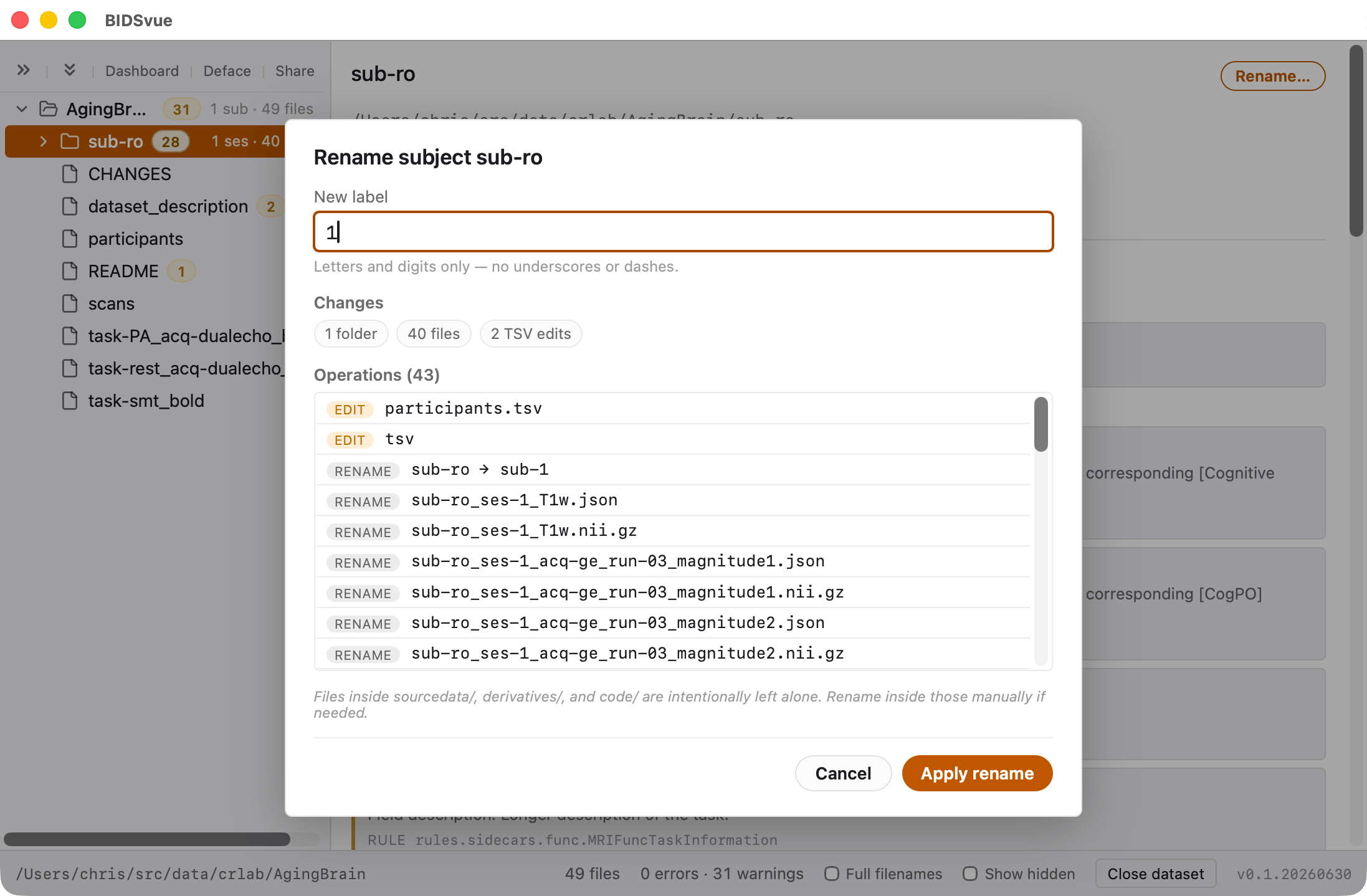 Renaming subject sub-ro to sub-1, with the file-rename preview.